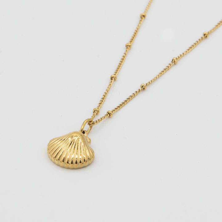 Seashell Necklace